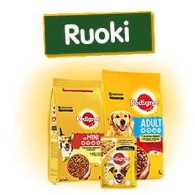 product-teaser-feed1