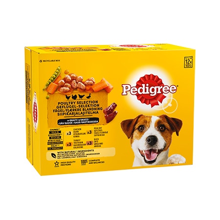 large_pedigree-12x100g-siipikarjalajitelma-637665279246958031