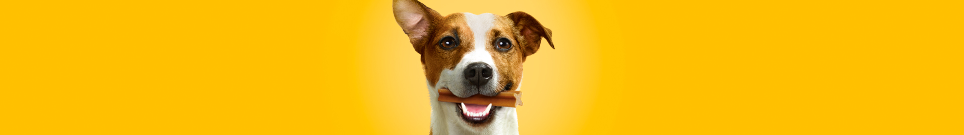 caring_MyDogsDentalCare