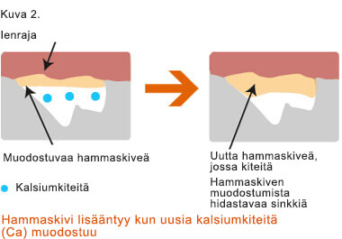 fig icon