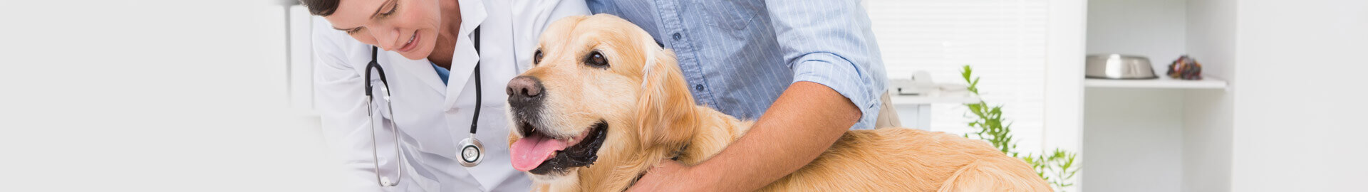 caring_goingtothevet